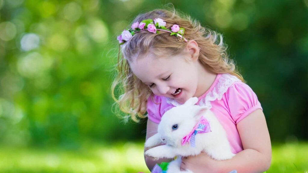 Kid playing with rabbit